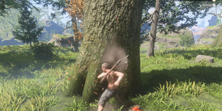 wooden logs enshrouded 