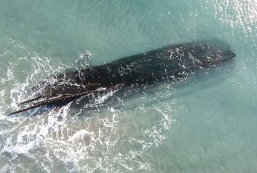 The Race Against Time: A Tale of the Mysterious Shipwreck in Newfoundland