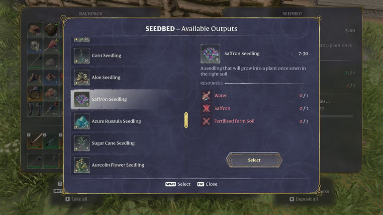 Saffron Seedlings in Enshrouded