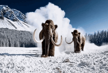 Sora - Công Nghệ Dựng Phim Siêu Thực và Bước Đột Phá của OpenAI