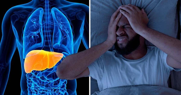 Bảo Vệ Gan Khỏe Mạnh: 4 Bước Đơn Giản Mà Hiệu Quả