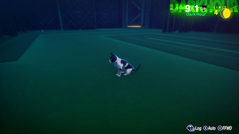 Persona 3 Reload Missing Cat - Missing Cats