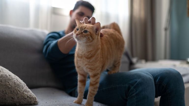Keeping You and Your Furry Friend Healthy: Insights from a Medical Professional
