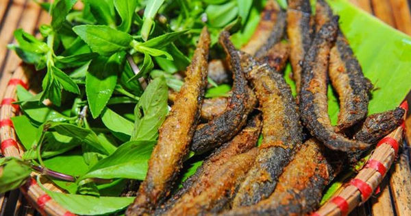 Bí quyết bổ tinh và săn 'rồng con' cho phái mạnh