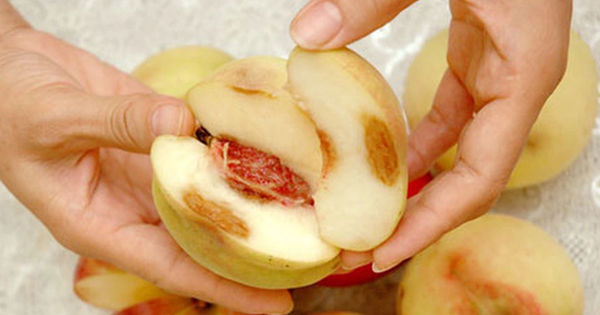 Những Quả Cây Độc Đáo Không Nên Bỏ Lỡ