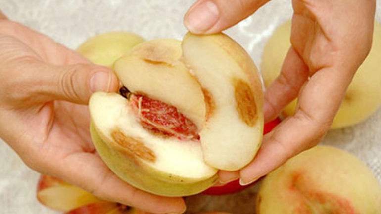 Những Quả Cây Độc Đáo Không Nên Bỏ Lỡ