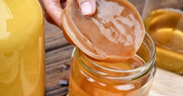 Kombucha - Thức Uống Lên Men Độc Đáo Cho Sức Khỏe Tối Ưu