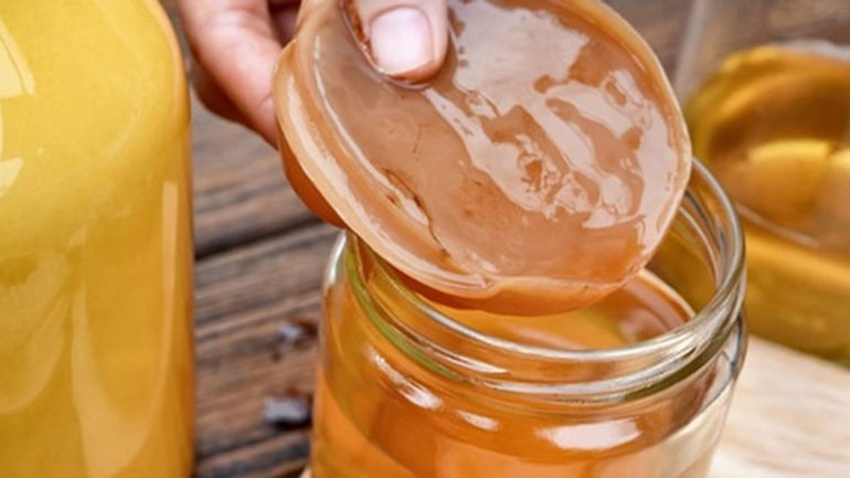Kombucha - Thức Uống Lên Men Độc Đáo Cho Sức Khỏe Tối Ưu
