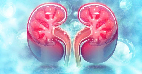 Những Đồ Uống Gây Hại Cho Thận Nếu Uống Quá Nhiều