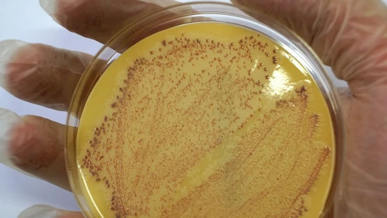 Hành trình đau lòng của cô gái 29 tuổi trước siêu vi khuẩn 'đục lỗ phổi'