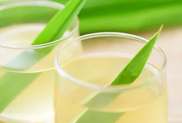 Lá Dứa - Thần Dược Đa Năng Cho Sức Khỏe và Làm Đẹp