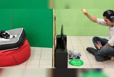 Dogs Show Ability to Associate Words with Objects, Study Indicates