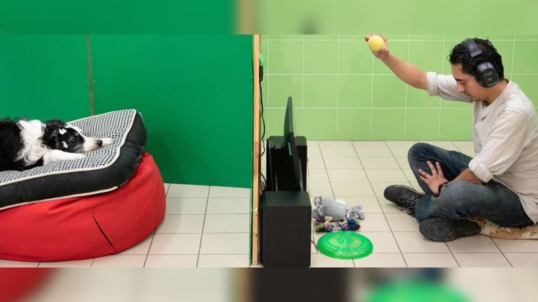 Dogs Show Ability to Associate Words with Objects, Study Indicates