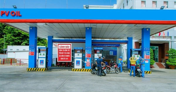 Bão Tấn Công: Khi Hệ Thống Thông Tin của PVOIL Gặp Sự Cố