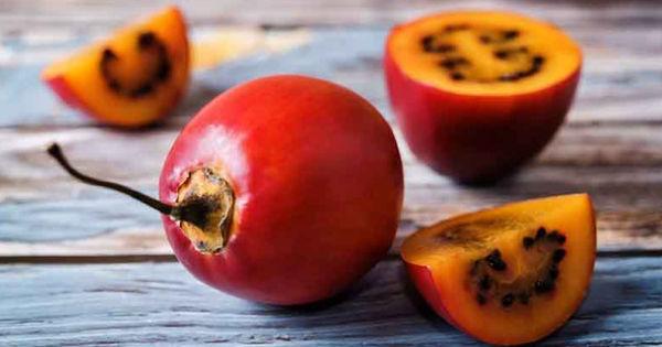 Khám phá những điều kỳ diệu từ quả cà chua và nước ép cà chua