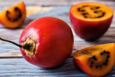 Khám phá những điều kỳ diệu từ quả cà chua và nước ép cà chua