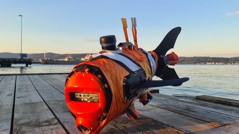 Innovative Fish-Inspired Robots for Waterway Conservation in the Middle East