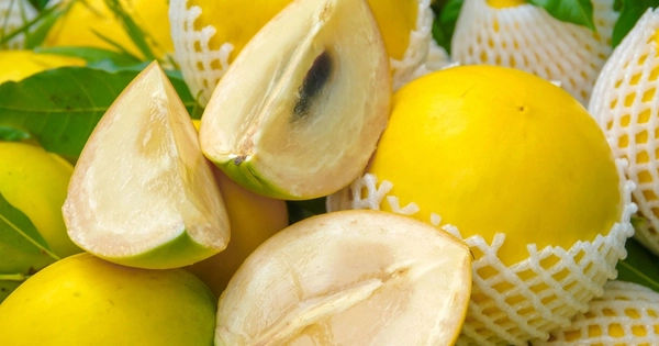 Vú Sữa - Siêu Quả Tốt Cho Sức Khỏe và Làm Đẹp