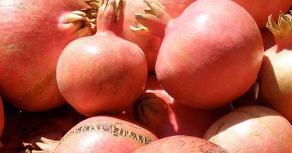 Những Lợi Ích Đặc Biệt Từ Quả Lựu