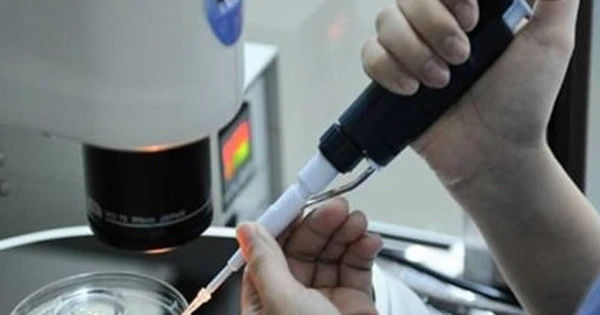 Hành Trình Tìm Kiếm Hạnh Phúc: Chuyện Của Ngọc Hoa - Mẹ Đơn Thân