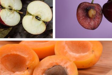 Những Bí Ẩn Đằng Sau Những Hạt Trái Cây: Đừng Bao Giờ Ăn Hạt!