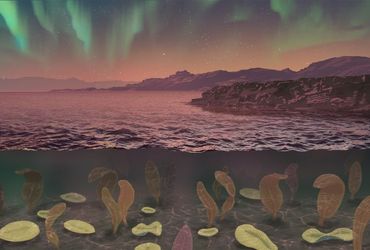 Ancient Earth's Magnetic Field Weakness: Key to Complex Life Evolution?