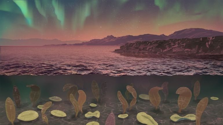 Ancient Earth's Magnetic Field Weakness: Key to Complex Life Evolution?