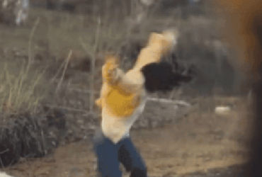 Bí Ẩn Đằng Sau Sự Thành Công Kinh Khủng của A Lạp Thái Của Tôi