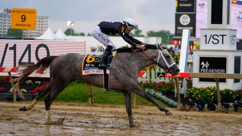 Seize The Grey Triumphs in Preakness Stakes with Mystik Dan Taking Second Place