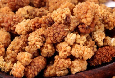 Bí Mật Của Dâu Tằm Trắng: 'Insulin Tự Nhiên' Cho Sức Khỏe Vững Mạnh