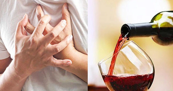 Chân Lý Hay Sự Ngụy Biện: Rượu Vang Đỏ và Mạch Máu