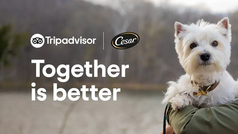 Cesar Partners with Mars Petcare and Tripadvisor to Ease Pet Owners' Travel Worries