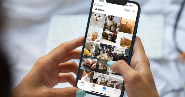 Bí ẩn ảnh đã xóa trên iPhone: Sự thật đằng sau việc ảnh bất ngờ xuất hiện trở lại
