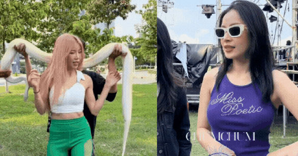 Cuộc Chiến Trên Sân Khấu: Trang Pháp và Chi Pu