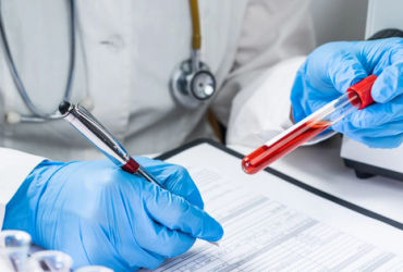 Hành Trình Tìm Lại Bản Lĩnh: Khi Xét Nghiệm ADN Revelations