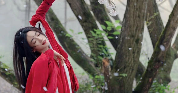 Cuộc đua của Mặc Vũ Vân Gian và Hồ Yêu Tiểu Hồng Nương: Sự Trỗi Dậy của Ngô Cẩn Ngôn và Thất Thế của Dương Mịch