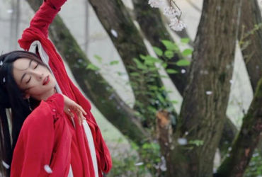 Cuộc đua của Mặc Vũ Vân Gian và Hồ Yêu Tiểu Hồng Nương: Sự Trỗi Dậy của Ngô Cẩn Ngôn và Thất Thế của Dương Mịch