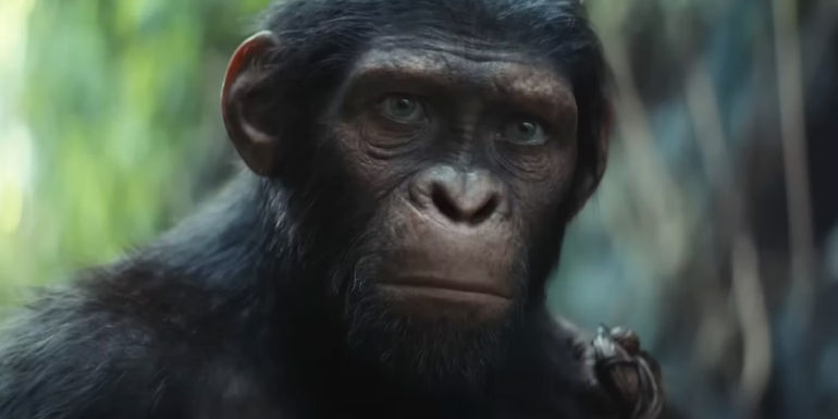 Cornelius in Kingdom of the Planet of the Apes