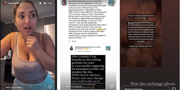 Daniele Gates sharing Instagram stories in her feud with 90 Day Fiance co-star Shekinah Garner