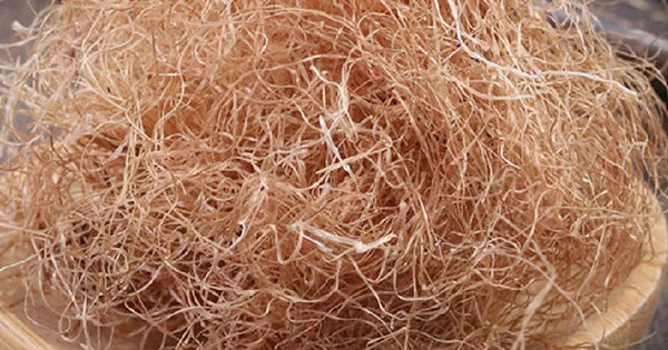 Món ăn bỏ đi ngoài chợ nhưng lại là thuốc tốt cho thận và giúp kiểm soát đường huyết hiệu quả