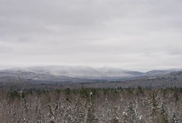 Harrowing Nightfall: Hiker Survives Freezing Temperatures, Clinging onto a Small Tree After a Dramatic Fall