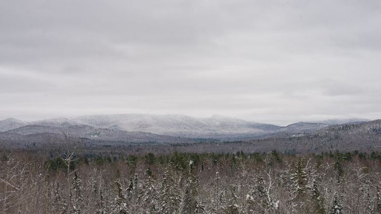 Harrowing Nightfall: Hiker Survives Freezing Temperatures, Clinging onto a Small Tree After a Dramatic Fall
