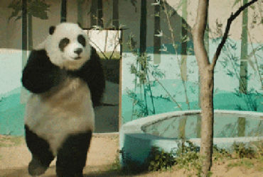 Bao Bối Nhĩ - Từ Nam Diễn Viên Nổi Tiếng Đến "Vua Phim Rác" Của Cbiz