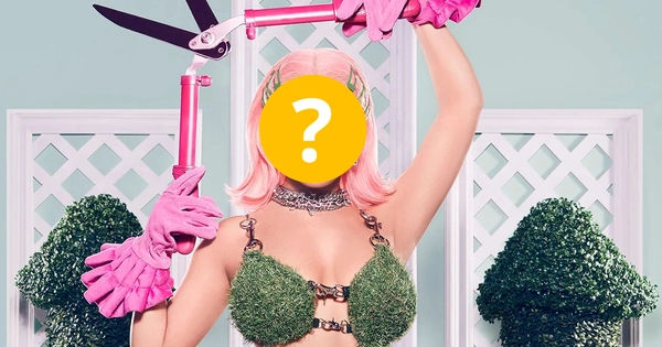 Doja Cat bị anh trai hành hung: Sự lo lắng của người hâm mộ