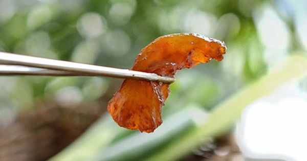 Những siêu thực phẩm giúp tăng sinh collagen và ngăn chặn quá trình lão hóa, đồng hành cùng phái đẹp