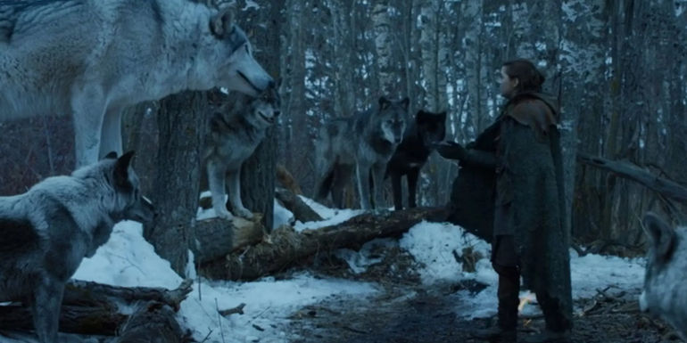 The Ultimate Guide to Game of Thrones Wargs: Unraveling their Powers and Secrets