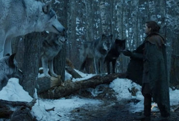 The Ultimate Guide to Game of Thrones Wargs: Unraveling their Powers and Secrets