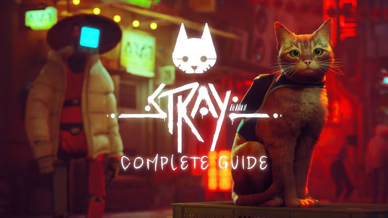 The Ultimate Stray Guide: Master the Game with Our Walkthrough and Tips