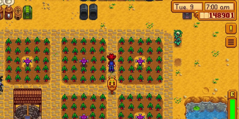 Stardew Valley Player Transforms Their Cellar into an Enchanting Oasis!