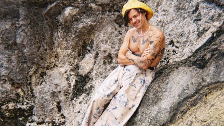 Unconventional Fashion Icons: Harry Styles and Bjork Lead the Rebel Revolution